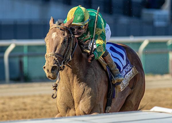 Champagne Stakes, Aqueduct, Chancer McPatrick, Breeders' Cup Juvenile, Santa Anita Park, Chad Brown, Eclipse Sportswire
